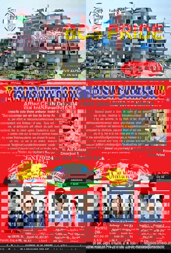 Roots of Excellence: Blossoms School Pride